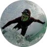 PaulD🇺🇸's profile picture