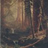 Profilbild von WesForest1803🌲