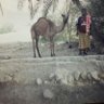 سالم profil fotoğrafı