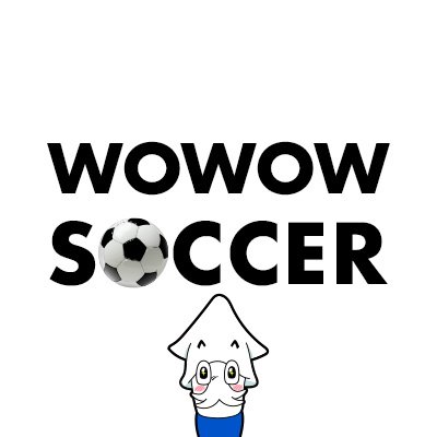 wowow_soccer's profile picture