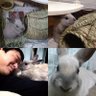ユナオのパパ's profile picture