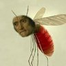 ElBanEl's profile picture