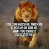 Never Give in, Never Give up... 的头像