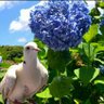 Фото профиля のりりん