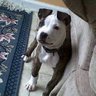 YRNico's profile picture