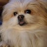 K. Brown 的头像