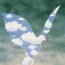parakee's profile picture