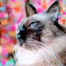 Theta's profile picture