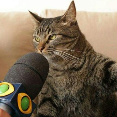 Meow Meowhan's profile picture