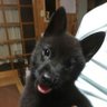 さつきと爺じ 的头像