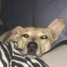 KPS's profile picture