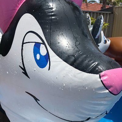 AskSharpclaw's profile picture
