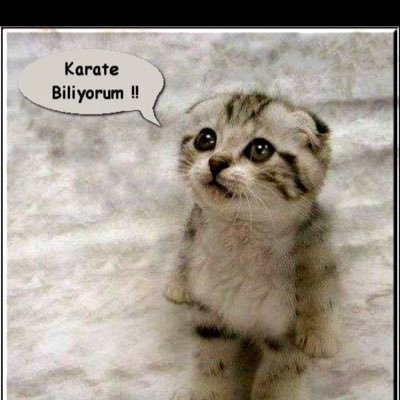 Neslihan 🇹🇷's profile picture