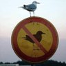 G profil fotoğrafı