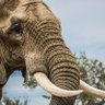 Фото профиля riptusk