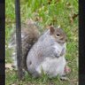 ビッケ丸🌱's profile picture