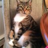 Nicole D's profile picture