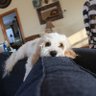 Kirilynn273's profile picture