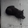 Fififrau's profile picture