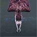 Profilbild von Ferpe