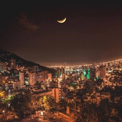 caliescalico's profile picture