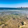 AL-Qmate-Libya profil fotoğrafı
