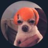 buckles's profile picture