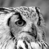 Kabos-Van der Vliet's profile picture
