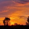 Profilbild von Phelps County Missouri Weather And News.