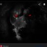 Black Lion🤴🏾🖤⚖ 的头像