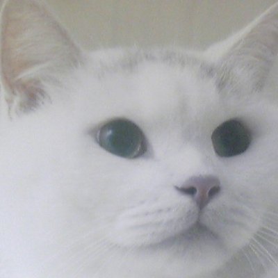 misoranokinone's profile picture