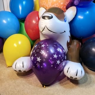 instalooner's profile picture