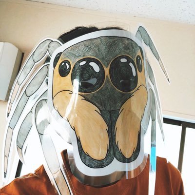 ハエトリグモちゃん's profile picture