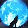 Lobo Mau's profile picture