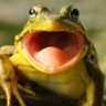 Profilbild von Cary