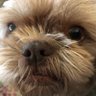 M Fishpaw's profile picture
