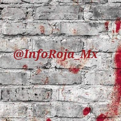 Info Roja Mx's profile picture