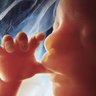 Profilbild von Sanctity Of Life