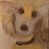 LeeHord's profile picture