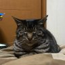 ミンミン profil fotoğrafı