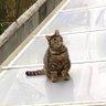 ジャスむン profil fotoğrafı