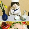 鴨川龍馬 profil fotoğrafı