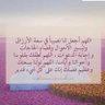 Profilbild von لحن الهجاء