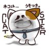 Profilbild von 春