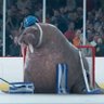 Фото профиля MassHockeyFan