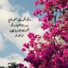 Profilbild von شموخ
