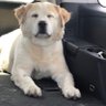 Profilbild von MAC
