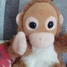 Profilbild von 煙突そうじ