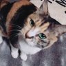 omiya-sk.1126 profil fotoğrafı
