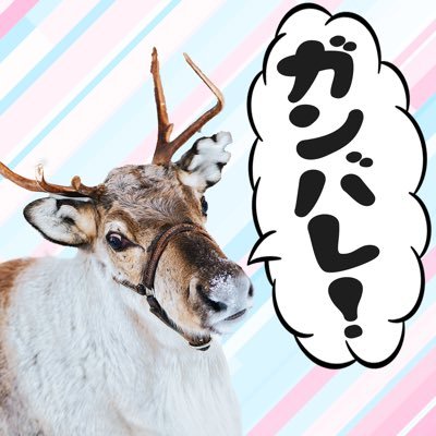 ganbaretonakai's profile picture